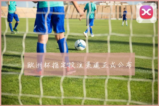 欧洲杯指定投注渠道正式公布